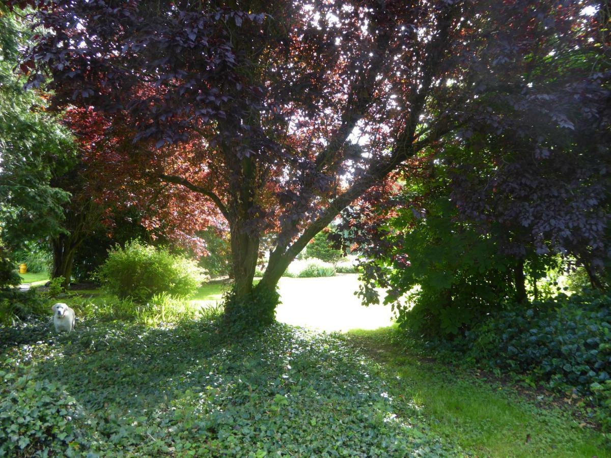 Broadacre Farm Bed & Breakfast Stabannan Eksteriør bilde